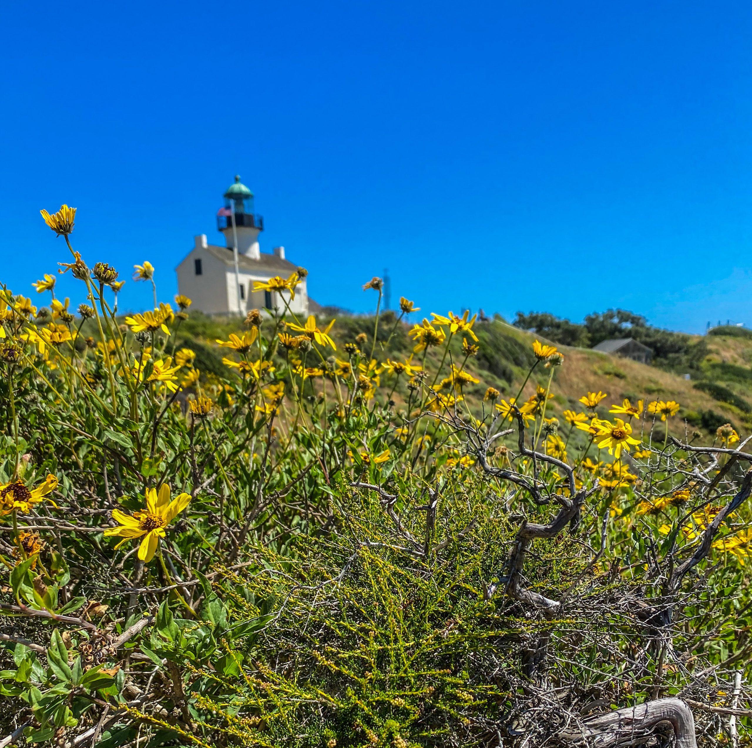 WEEKLY BRIEFING – News and events in and around San Diego | SDNews.com