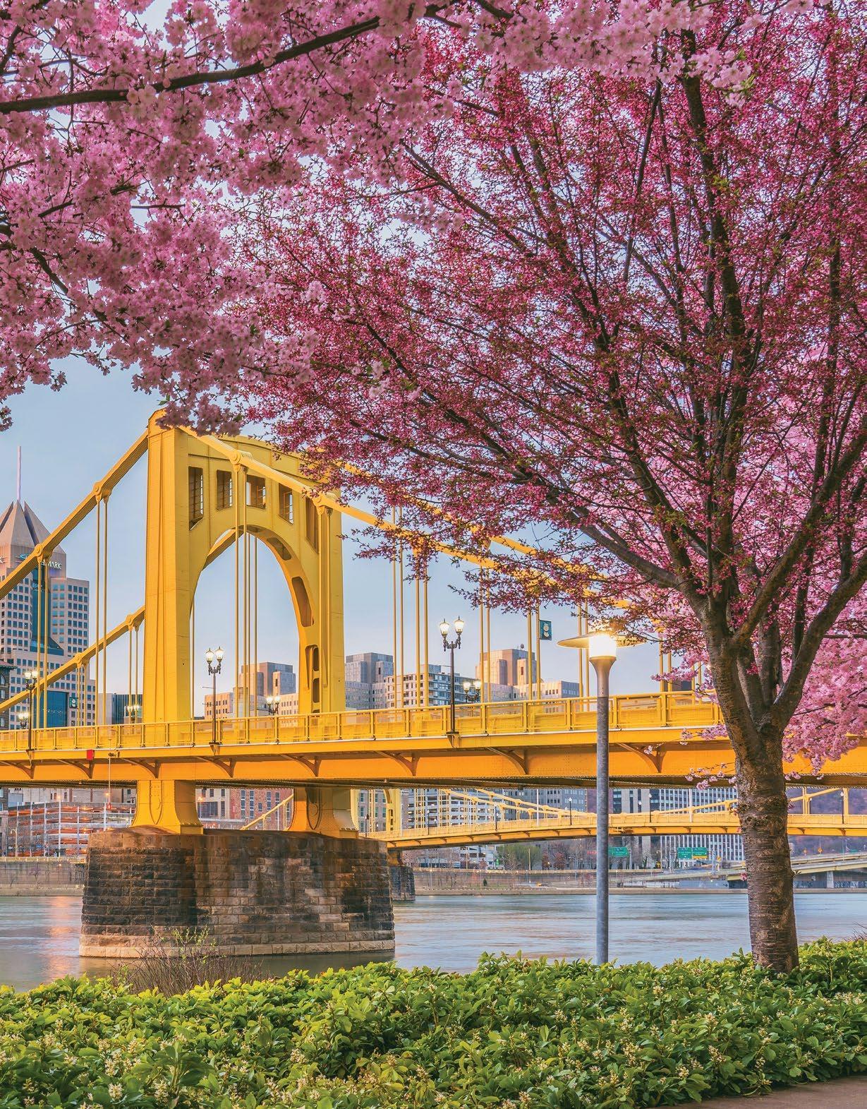 Pittsburgh Insiders Guide 2024 by VisitPITTSBURGH - Issuu