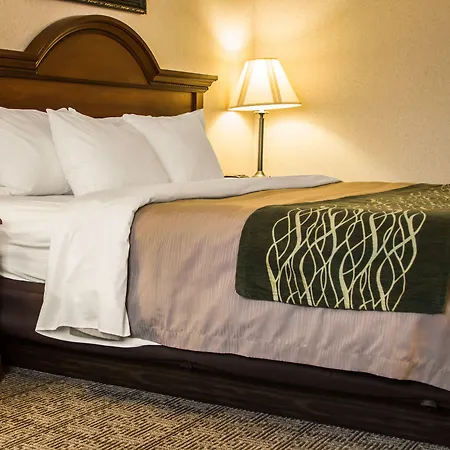 Comfort Inn & Suites Dimondale - Lansing-3